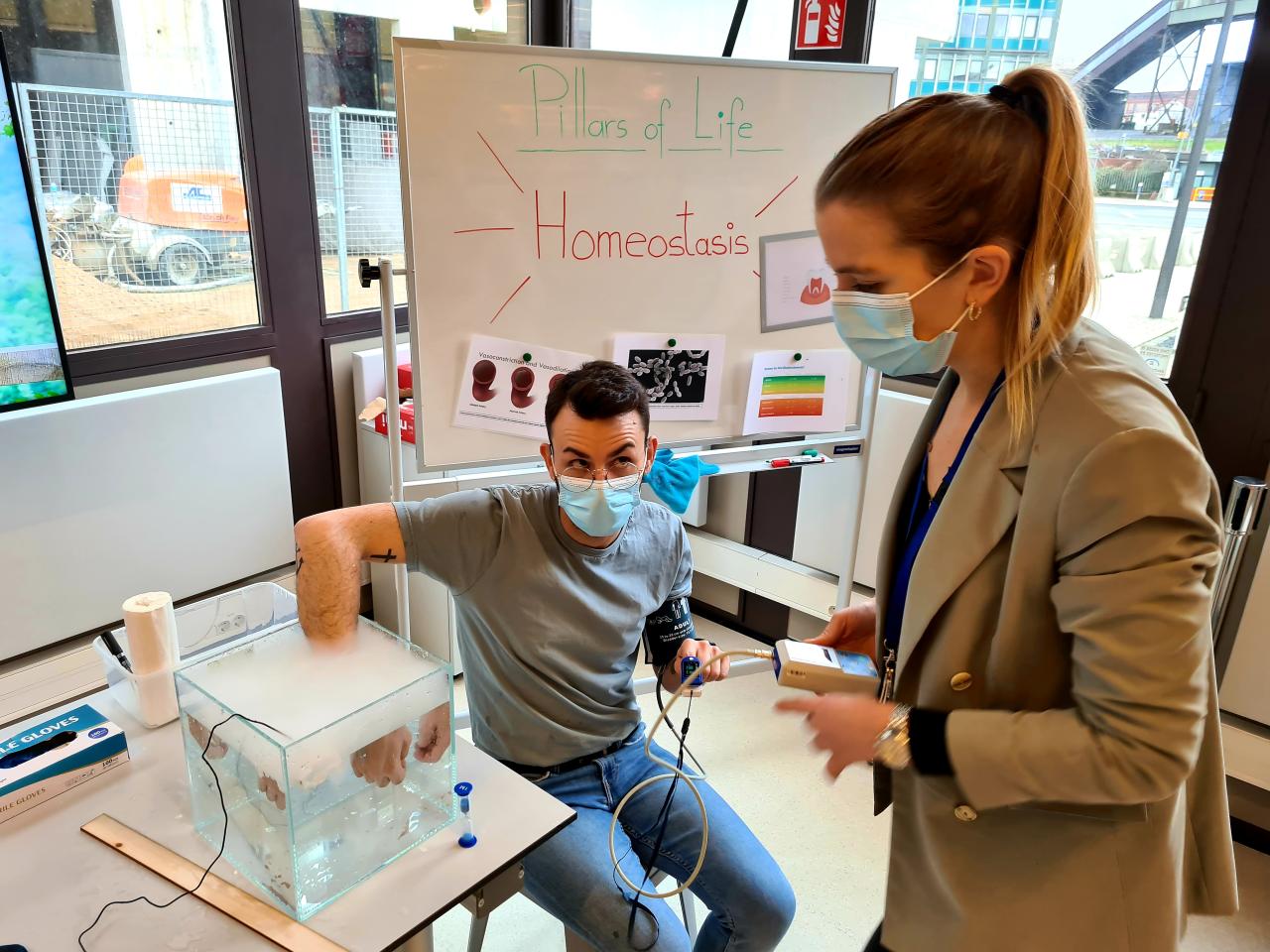 Homéostasie 
