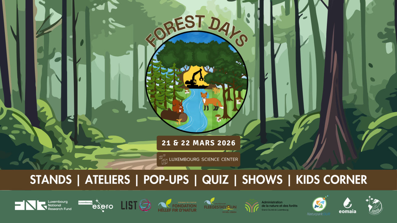 Banner Web Forest Days 2026 V2